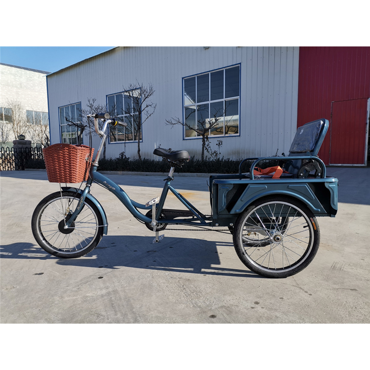 山东三轮车行情 三轮代步车 外观小巧