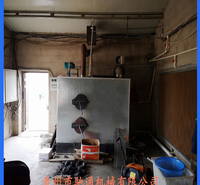养殖锅炉 恒温燃煤锅炉 温度自动控制 价格合理