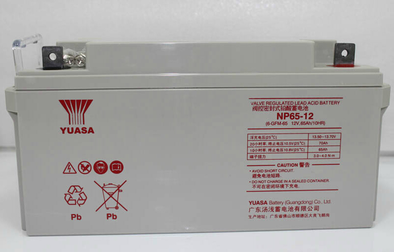 YUASA汤浅蓄电池NP65-12 12V65AH阀控密封 基站光伏船舶应急UPS电瓶