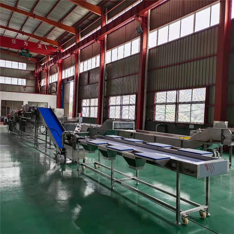 青岛西蓝花加工成套设备 可现场试机 净菜配送加工设备批发商