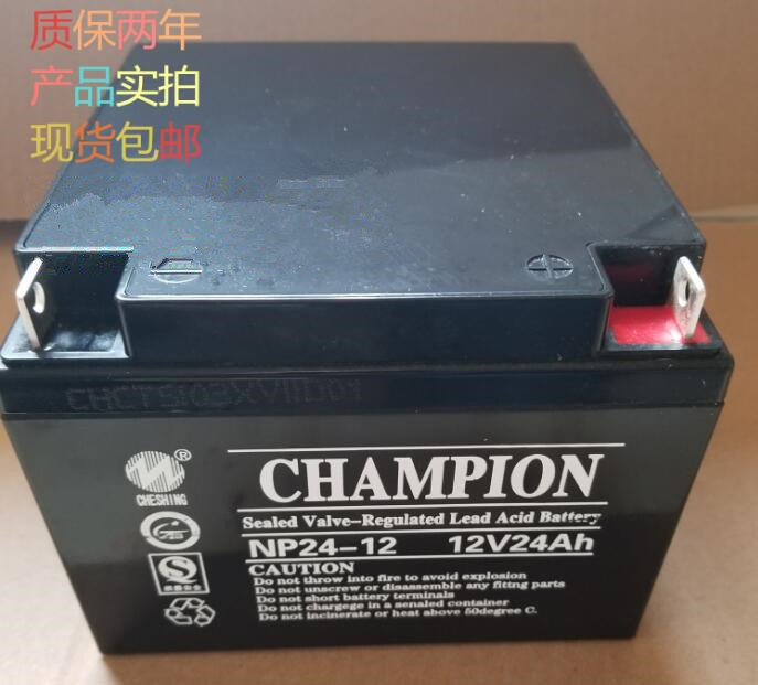 CHAMPION蓄电池NP24-12 12V24AH基站电站机房ups/eps专用全新