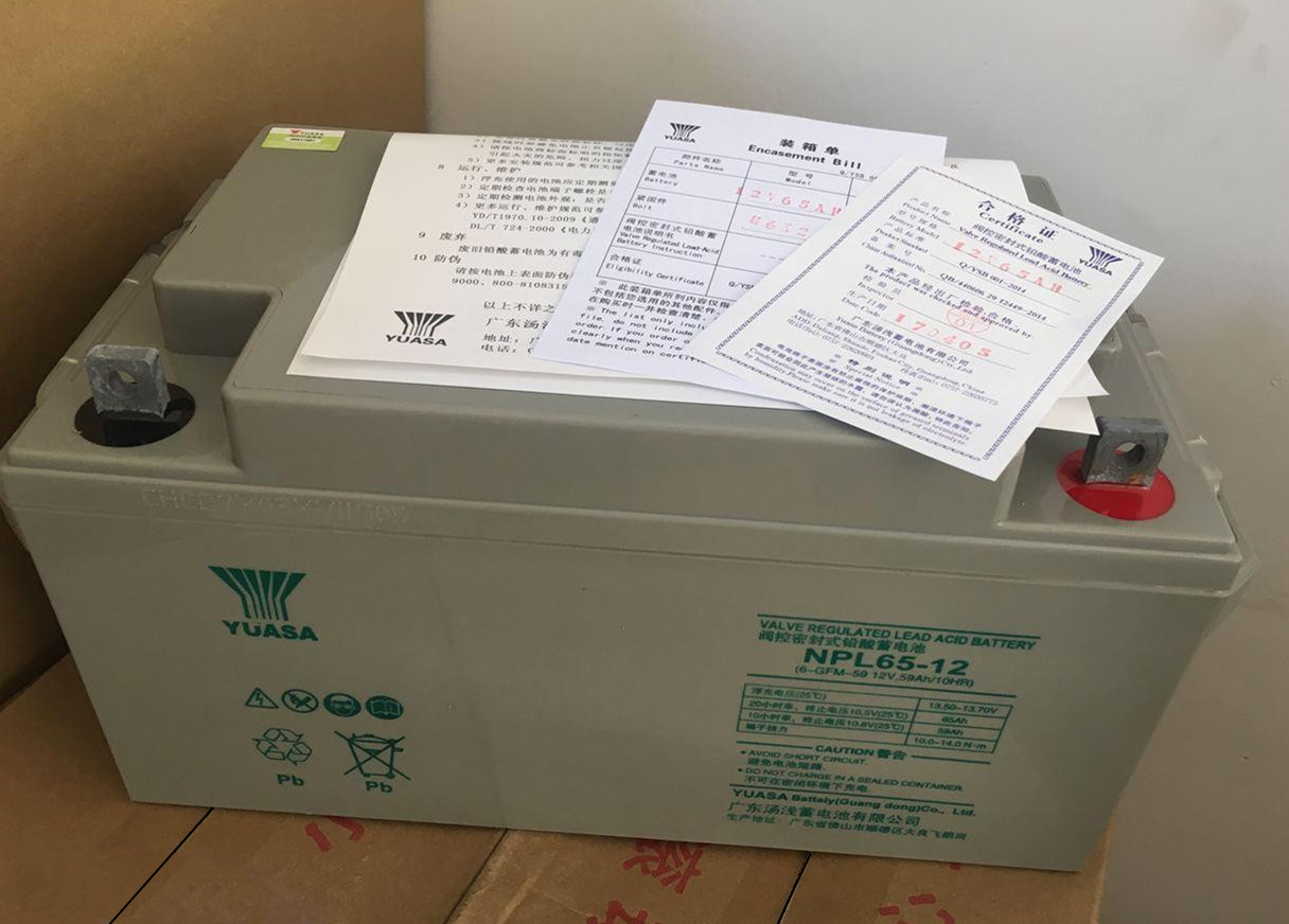 YUASA汤浅蓄电池NPL65-12 12V65AH UPS不间断电源专用原装正品
