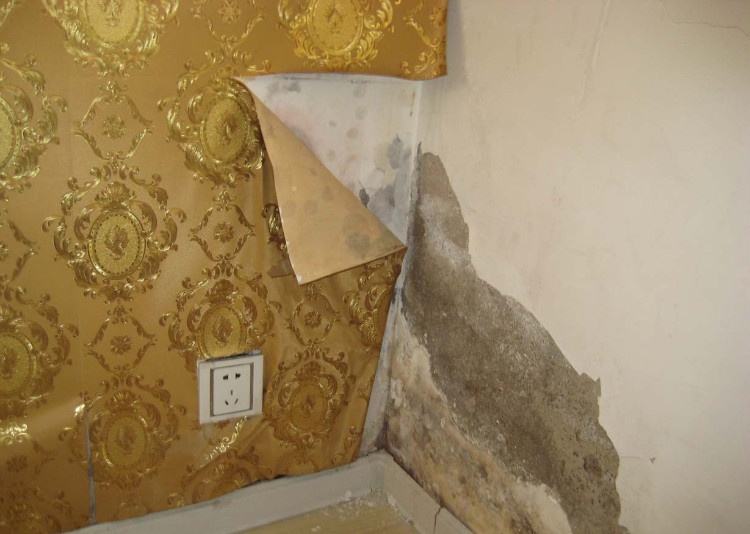 慈溪市修房屋漏水