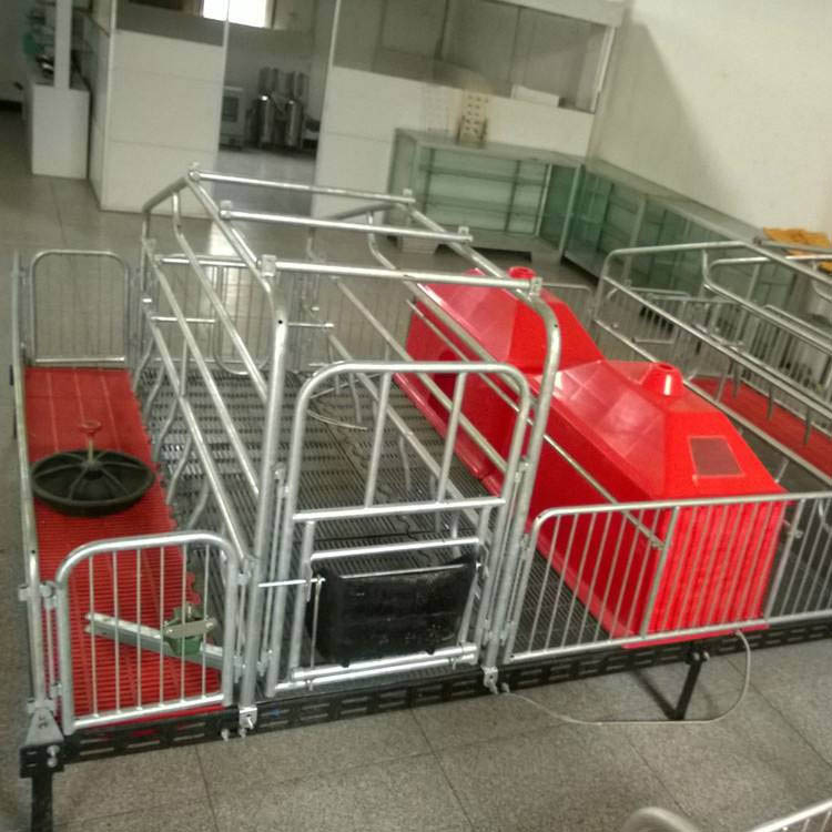 定制加工 母猪产床 猪用产保一体产床 母猪分娩产仔床