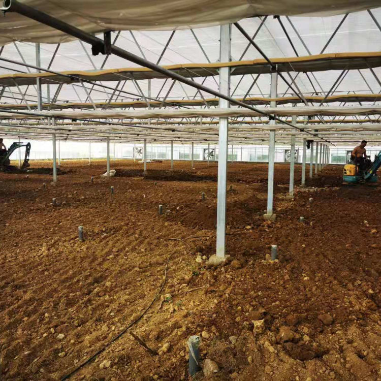 智能玻璃温室造价 中弘建造智能玻璃温室 可按需定制