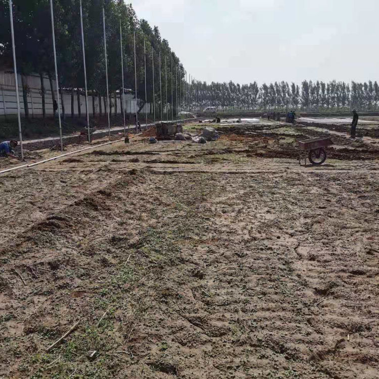 山东日光温室建造 中弘承建日光温室 可定制设计