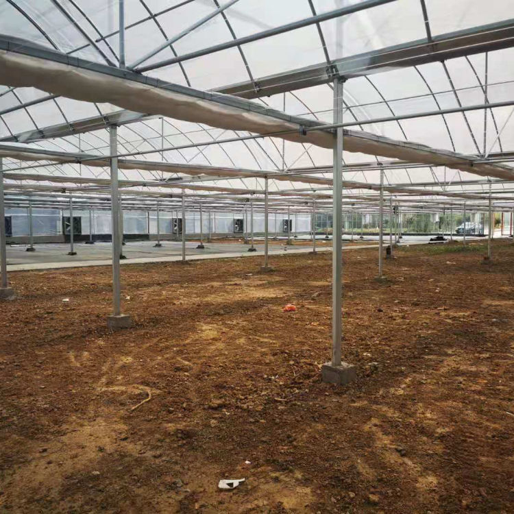 连栋薄膜大棚承建 河北连栋薄膜大棚 欢迎来电