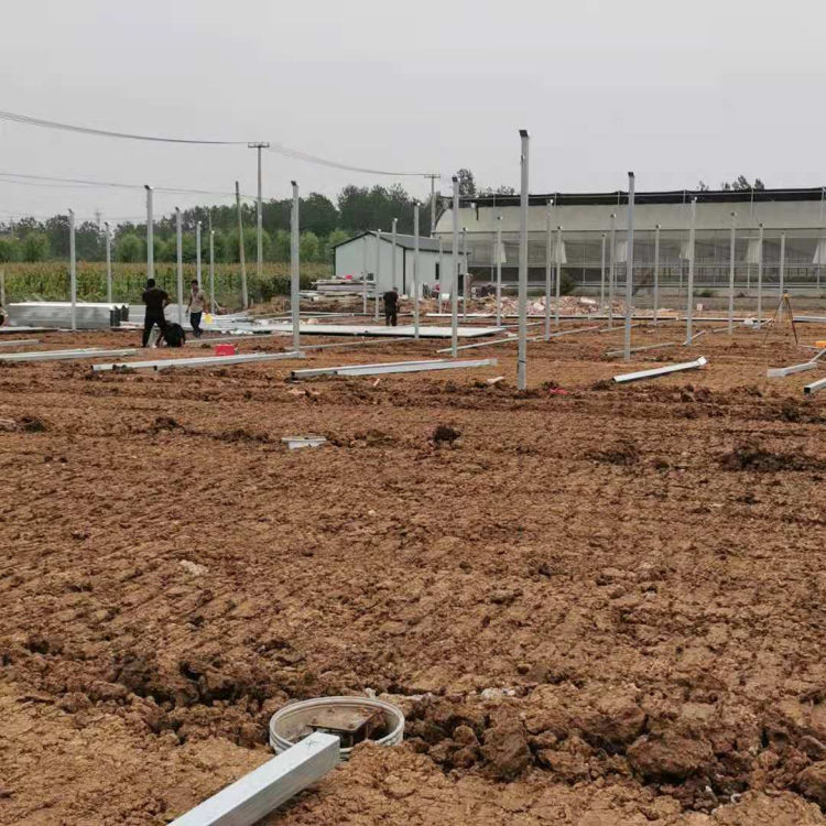 中弘连栋温室大棚 连栋温室大棚价格 可按需定制
