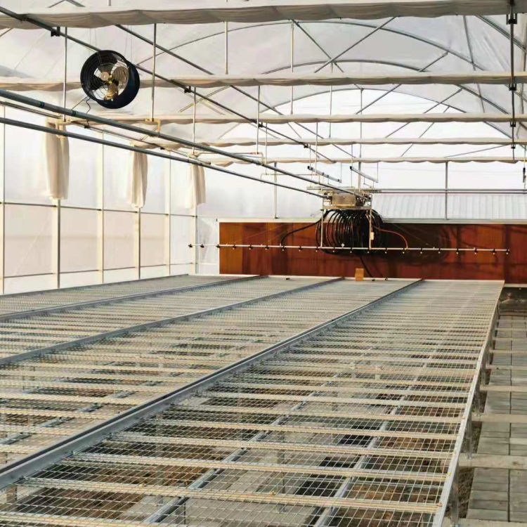 中弘建造连栋温室 连栋温室建造公司 欢迎来电