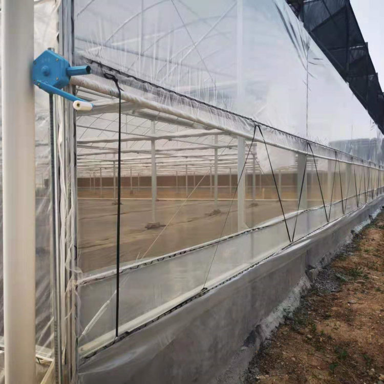 连栋温室大棚承建 中弘建造连栋温室大棚 透光率好