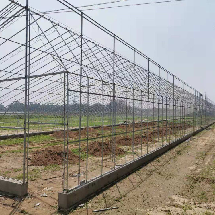 辽宁蔬菜大棚 蔬菜大棚价格 使用时间长