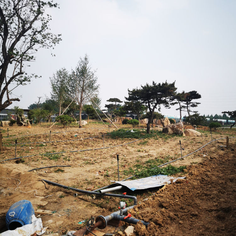 辽宁玻璃温室大棚 玻璃温室大棚承建 可按需定制