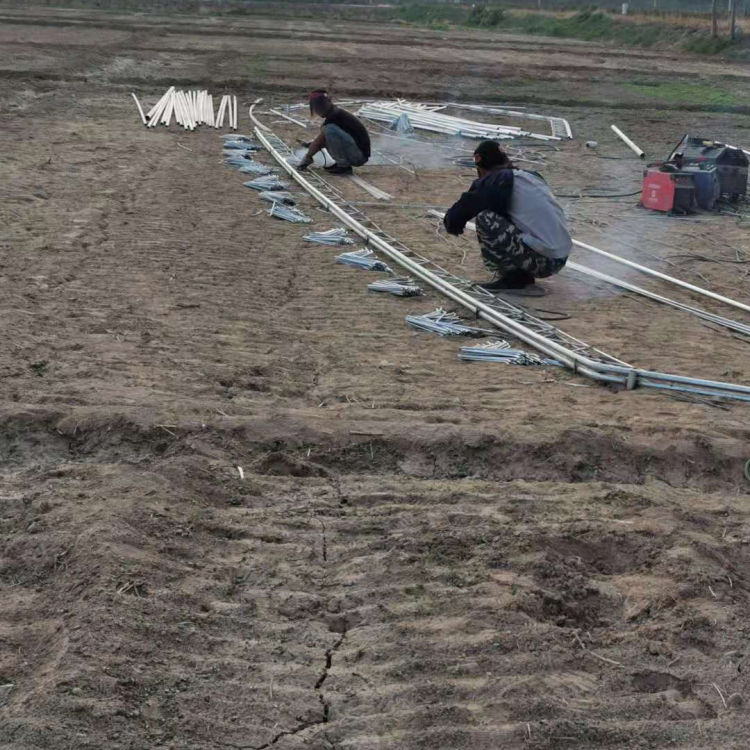 蔬菜温室大棚承建 辽宁蔬菜温室大棚 透光率好