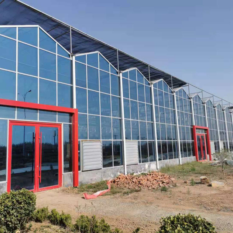 中弘承建连栋玻璃温室大棚 连栋玻璃温室大棚建造 可按需定制