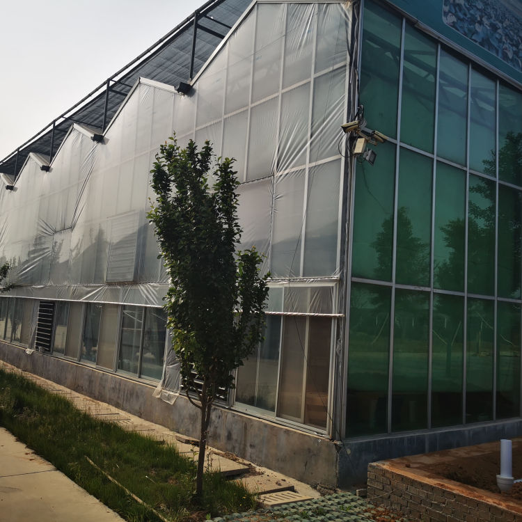 山东中弘承建玻璃温室 连栋玻璃温室大棚 质量有保障