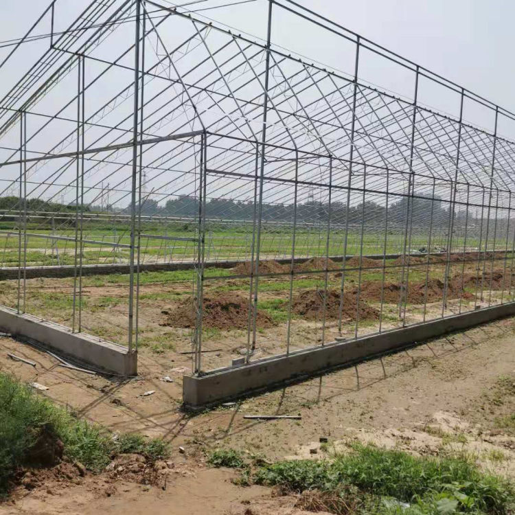 蔬菜温室大棚建设 山东蔬菜温室大棚 透光率好