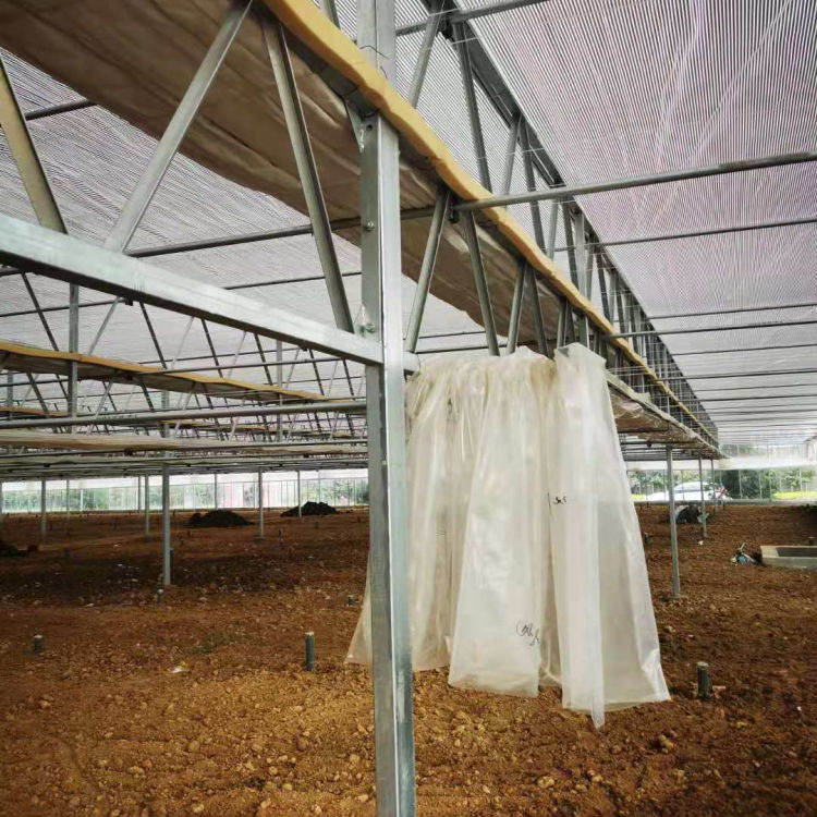 中弘承建育苗玻璃温室大棚 育苗玻璃温室大棚设计 利用率高