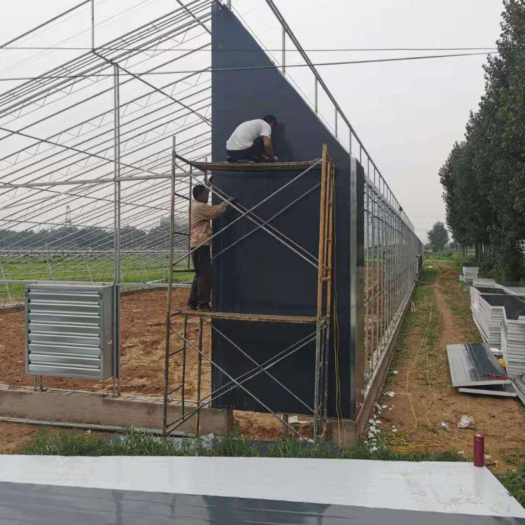 日光温室大棚报价 中弘建造日光温室大棚 价格合理