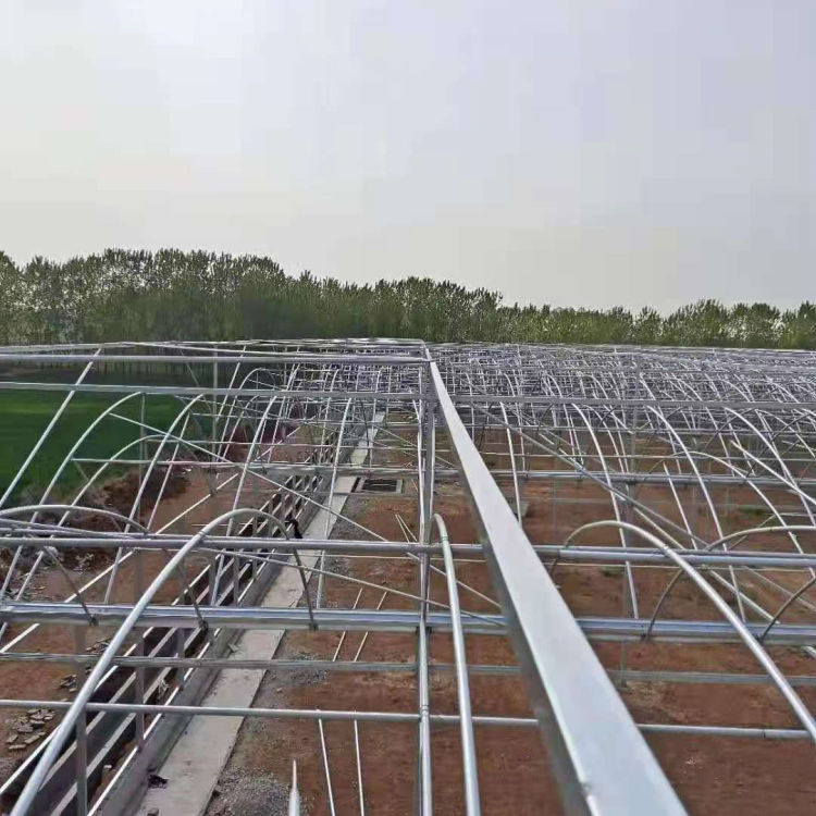 吉林连栋薄膜温室大棚 连栋薄膜温室大棚建造公司 使用时间长