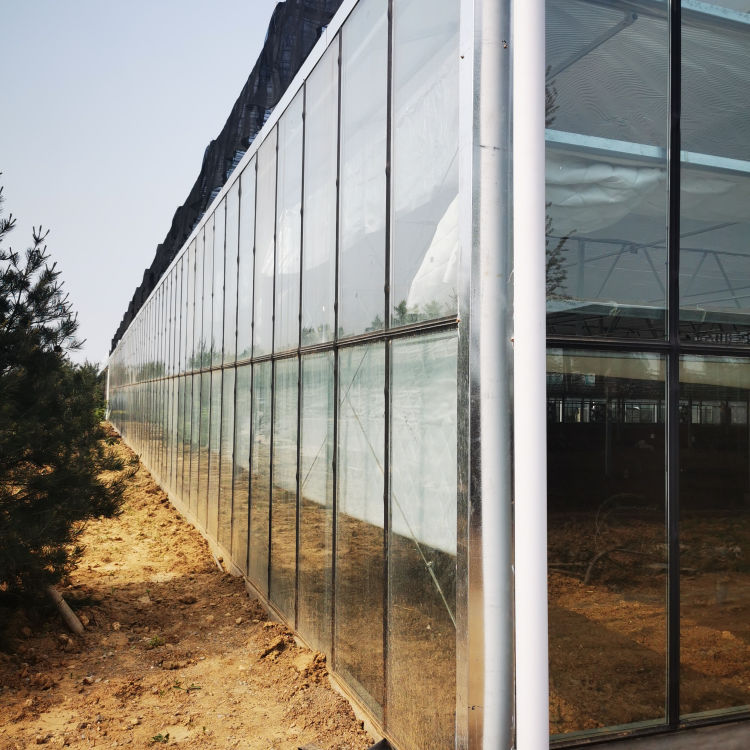 中弘蔬菜玻璃温室大棚 蔬菜玻璃温室大棚建造商 可按需定制