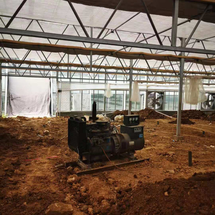 智能玻璃温室大棚建造公司 河南智能玻璃温室大棚 透光率好