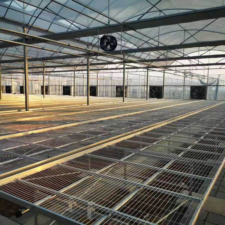 江苏连栋温室大棚 连栋温室大棚设计 质量有保障