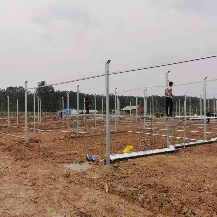 河北连栋温室大棚 连栋温室大棚建造公司 透光率好