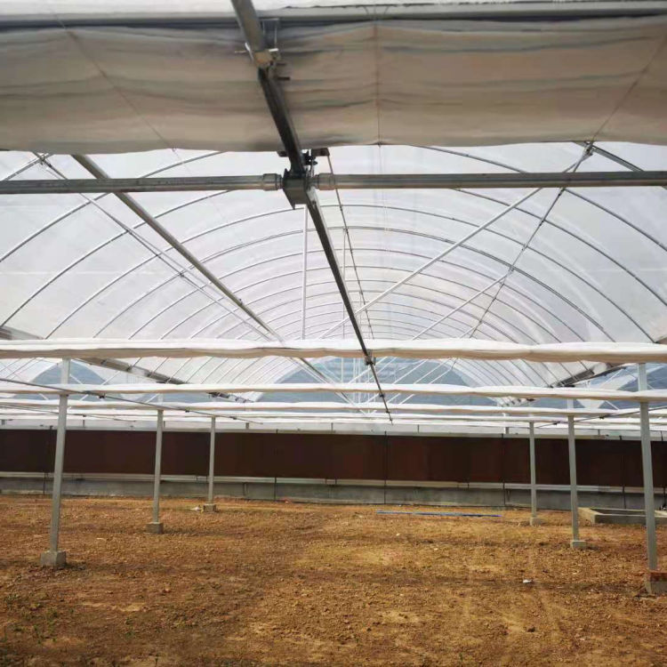 河北薄膜大棚 薄膜大棚承建 质量有保障