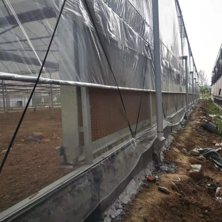 辽宁连栋温室 连栋温室建设 可按需定制