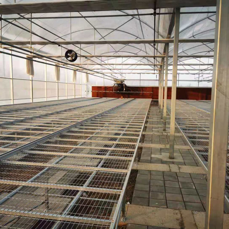 连栋温室设计 江苏连栋温室 质量有保障