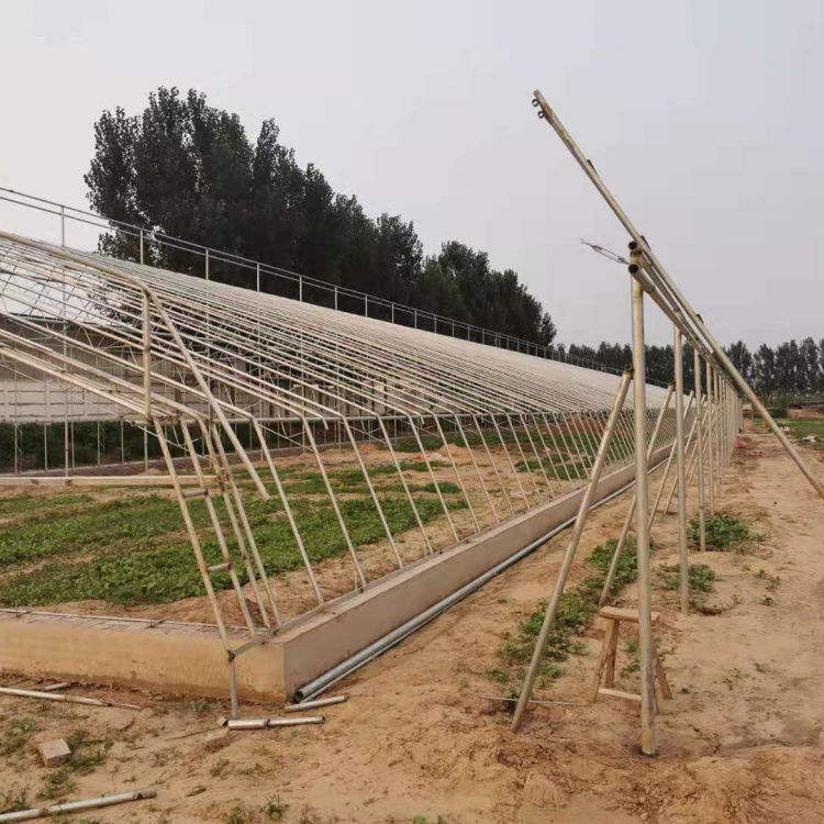 采摘大棚承建 河北采摘大棚 质量有保障