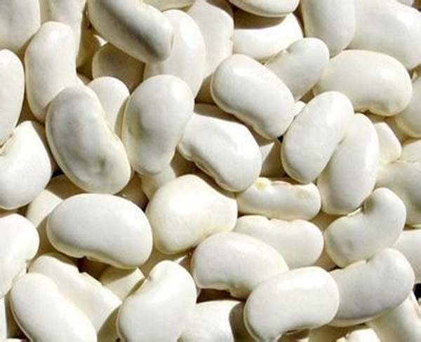 中药材批发 白扁豆批发 白扁豆大货 白扁豆价格