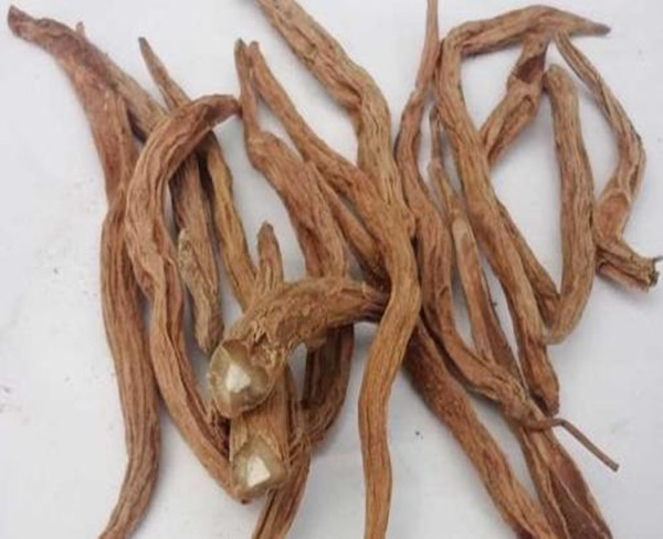 亳州中药材批发 百部批发 百部价格 中药材批发 中药材大货