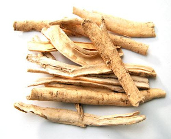 中药材信息网 白鲜皮批发  白鲜皮大货 白鲜皮产地