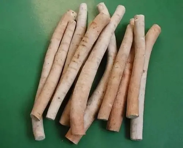 白芍产地 白芍批发 白芍大货 中药材批发及零售 白芍切片