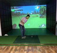 迈哈沃室内模拟球场 高清超大屏幕布