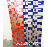水位测量仪 水位尺 水深测量尺 水尺 不锈钢防腐蚀水位尺