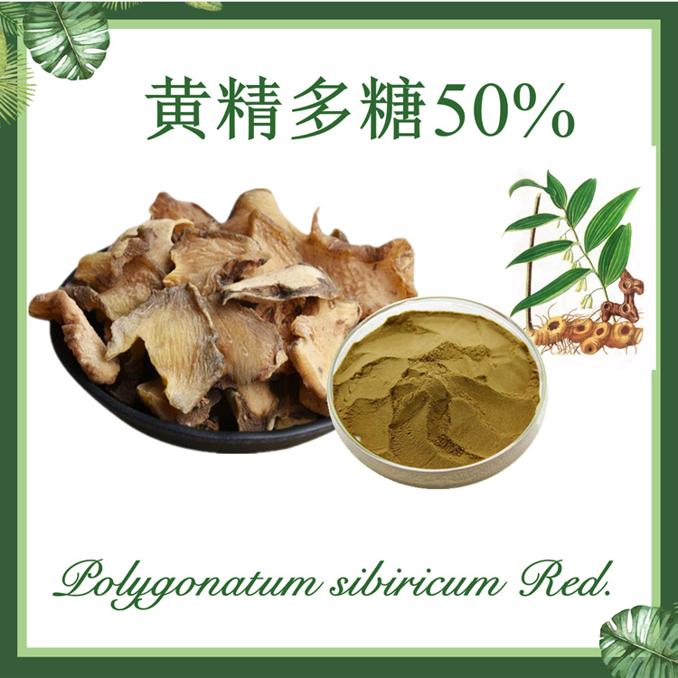 供应：黄精多糖50%  黄精提取物