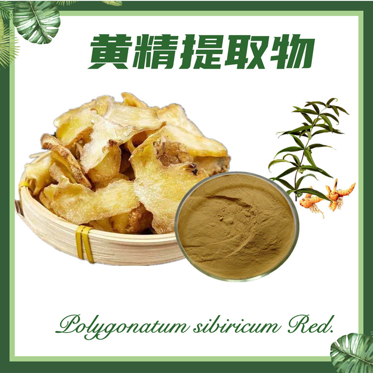黄精提取物10:1  老虎姜提取物  现货供应