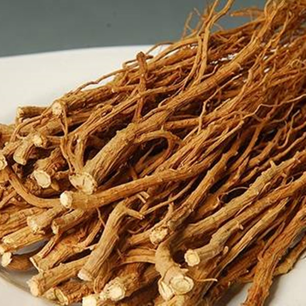 北柴胡价格 北柴胡批发 中药材信息网 中药材大货