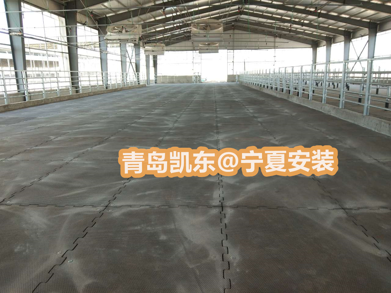 龟背纹高耐磨牛棚垫  欧标好品质牛舍垫 米粒纹防滑橡胶牛棚垫 可现场安装牛棚垫