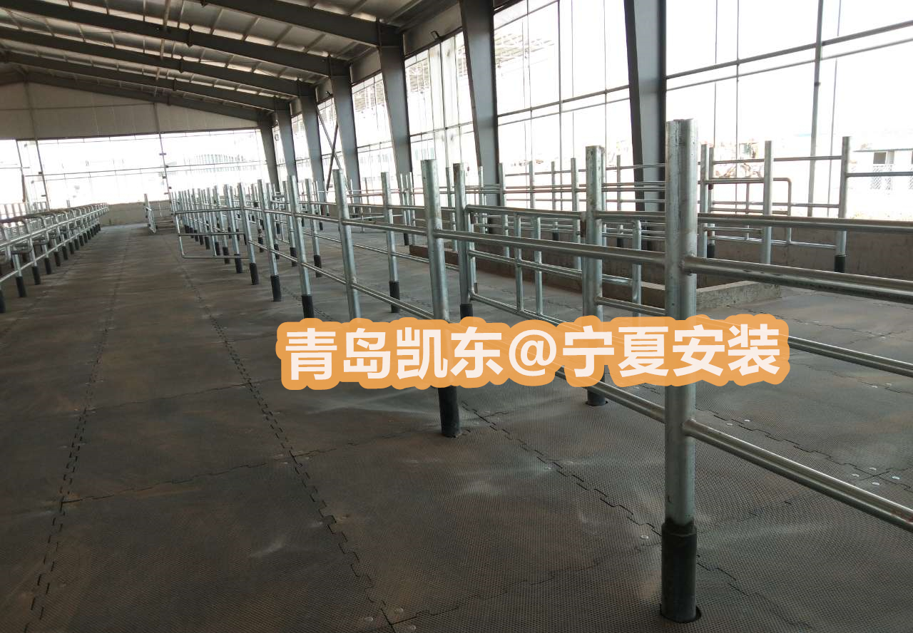 龟背纹高耐磨牛棚垫  欧标好品质牛舍垫 米粒纹防滑橡胶牛棚垫 现场安装牛棚垫