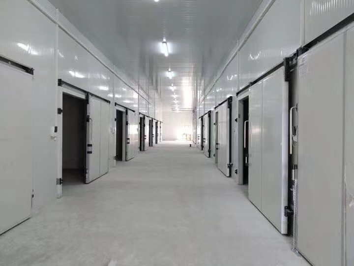 甘肃冷库建造厂家  食品冷库制造  新冷源冷库厂家直供 送货上门