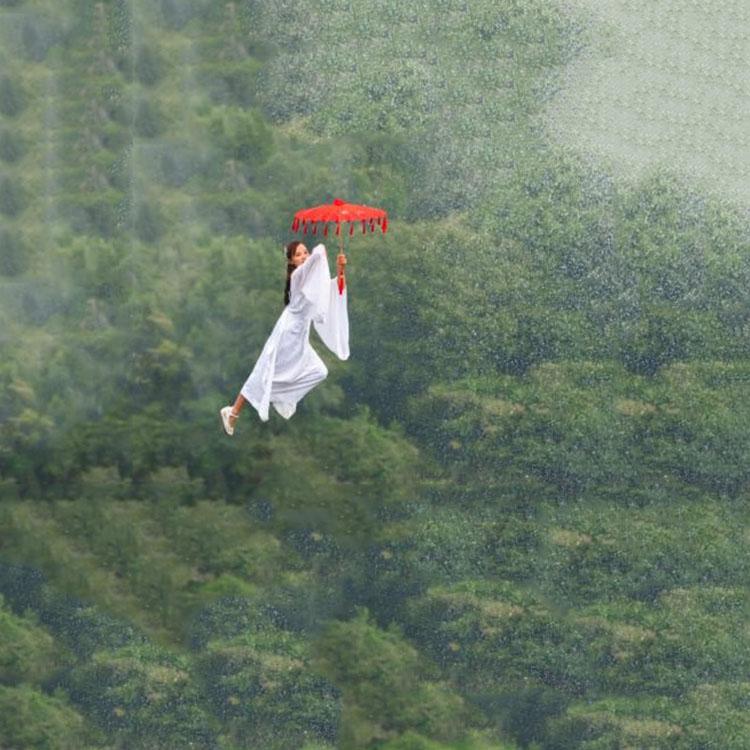 高空威亚价格 高空威亚设备 厂家直销 价格优惠