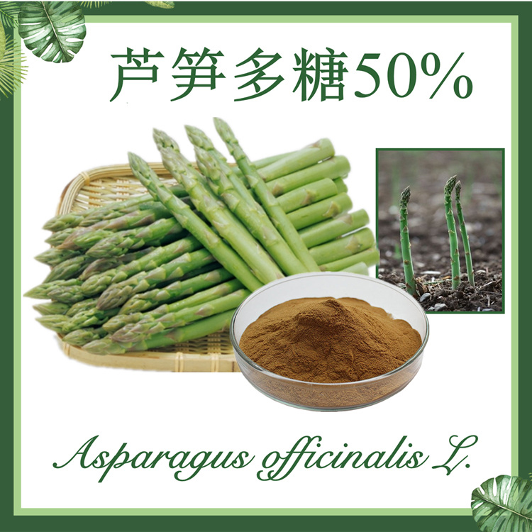 供应：芦笋多糖50%  芦笋提取物  石刁柏提取物