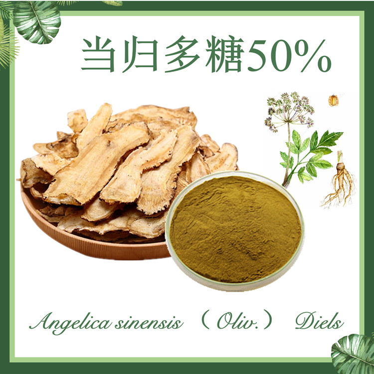 当归多糖50% 当归提取物 现货供应