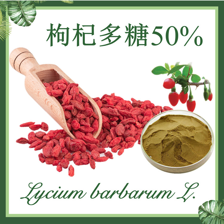 枸杞多糖50%  枸杞子多糖  枸杞提取物 现货供应