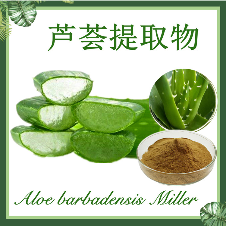 芦荟提取物10:1 库拉索芦荟提取物 好望角芦荟提取物