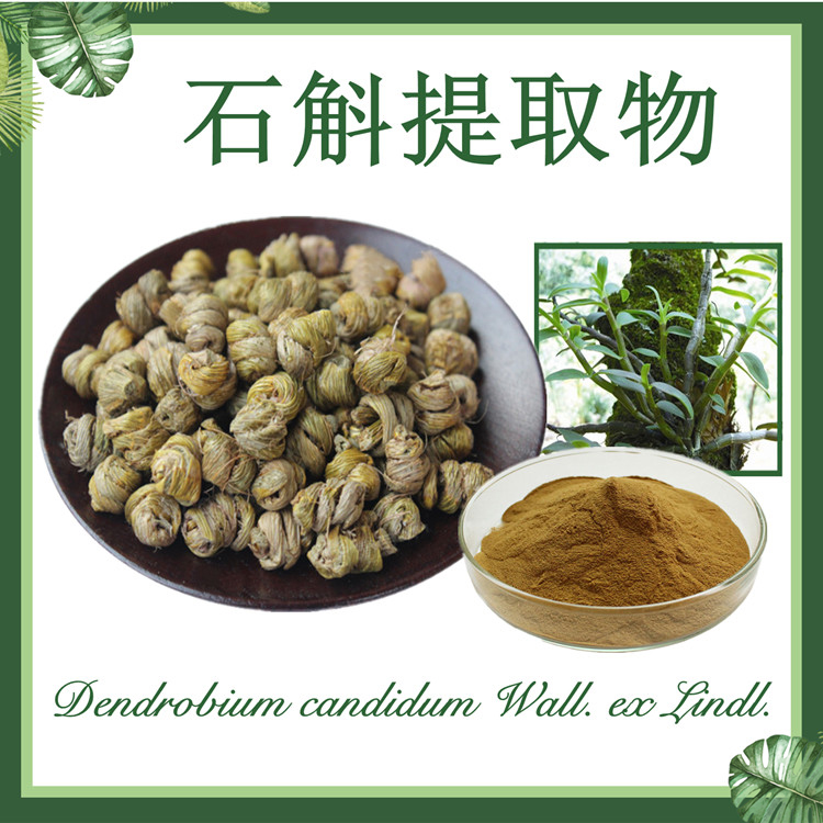 供应：石斛提取物10:1   吊兰提取物