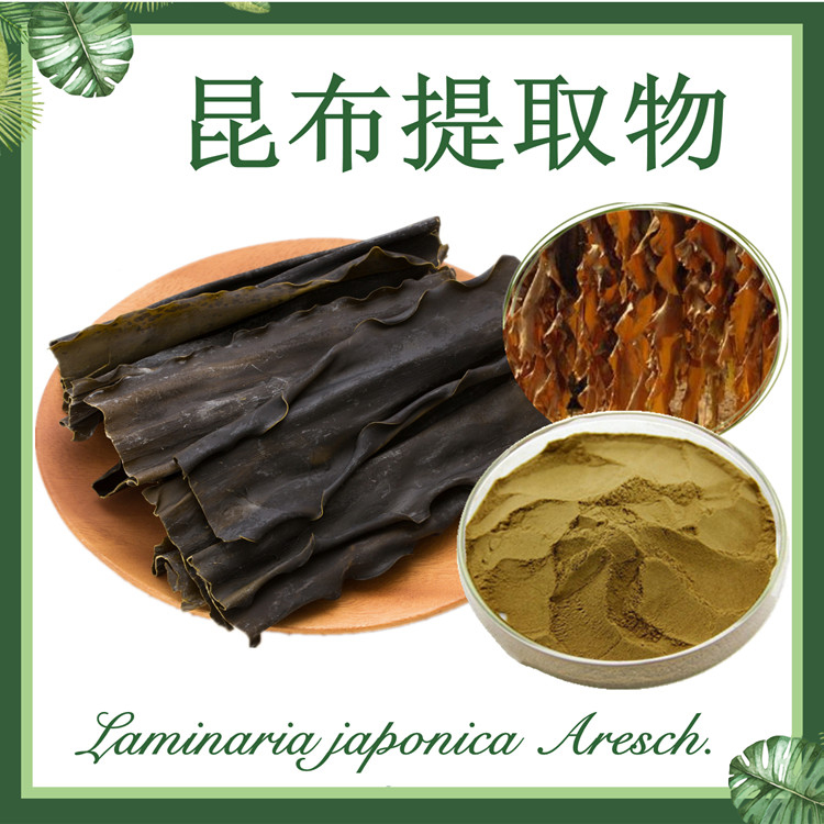 昆布提取物10:1  鹅掌菜提取物 黑菜提取物  现货供应